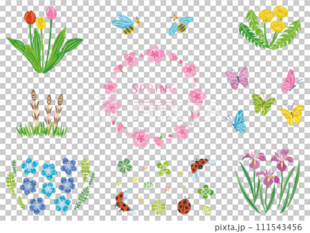春の植物の花や昆虫のイラストセット 春の植物の花や昆虫のイラストセット 111543456