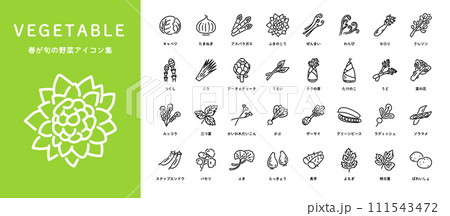 春が旬の野菜アイコンセット 春が旬の野菜アイコンセット 111543472