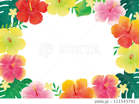 水彩のハイビスカスのフレーム 水彩のハイビスカスのフレーム 111543791