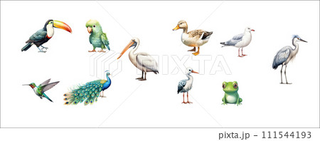 AI-generated content. Diverse Collection of Beautifully Illustrated Exotic Birds and a Frog in Various 111544193