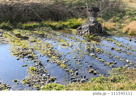 溝呂木の湧玉 溝呂木の湧玉 111545111