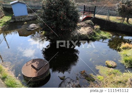 勝保沢の湧玉 111545112