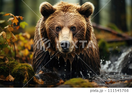 Brown bear fishing in a river. Generative AI 111545708