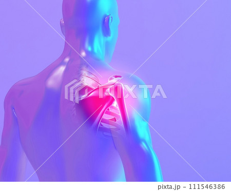 Shoulder painful skeleton x-ray, 3D illustration. Shoulder painful skeleton x-ray, 3D illustration. 111546386