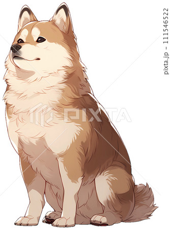 キリっとした表情でお座りする柴犬　/AI生成 111546522