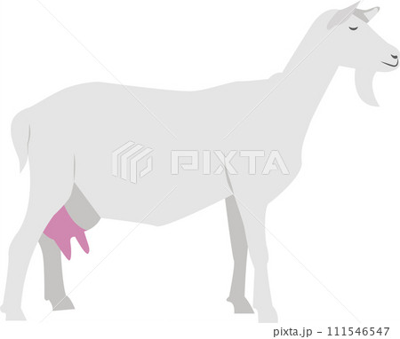 Goat farm animal vector icon isolated on white Goat farm animal vector icon isolated on white 111546547