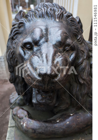 Lion head. Ancient sculpture, former pillar base of the Gothic guardhouse 111546981