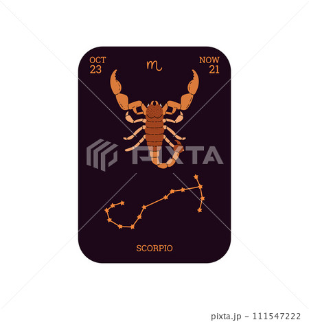 Horoscope Astrology Scorpio zodiac card with constellation, birth date, sign and symbol, flat Horoscope vector design Horoscope Astrology Scorpio zodiac card with constellation, birth date, sign and symbol, flat Horoscope vector design 111547222