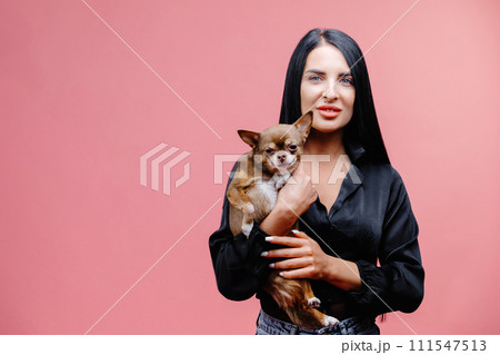 Wonderful european female model chilling in studio with puppy. Indoor portrait of debonair girl enjoying photoshoot with her cute pet. Wonderful european female model chilling in studio with puppy. Indoor portrait of debonair girl enjoying photoshoot with her cute pet. 111547513
