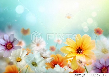Daisy flower gerbera bouquet isolated on blue background 111547845