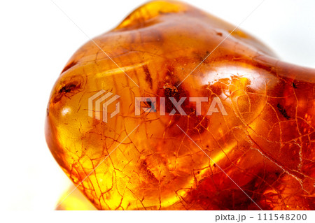 Macro stone mineral amber with insects, flies and beetles on a white background close up Macro stone mineral amber with insects, flies and beetles on a white background close up 111548200