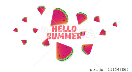 Vector Hello Summer Beach Party horizontal banner Design template with fresh watermelon slice isolated on white background. Hello summer concept label or poster with fruit and typographic text. Vector Hello Summer Beach Party horizontal banner Design template with fresh watermelon slice isolated on white background. Hello summer concept label or poster with fruit and typographic text. 111548863