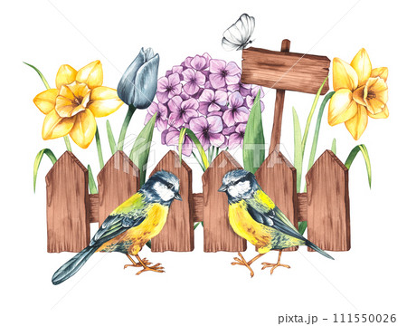 Watercolor spring composition with a fence, titmice in spring flowers 111550026