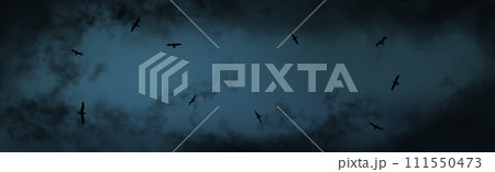 On the eve of storm. Background with seagulls flying in the dark blue thunder sky. Stormy weather 111550473