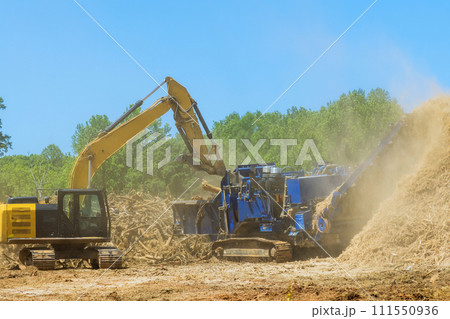 Tree roots are loaded into an industrial shredder machine chopped into wood 111550936