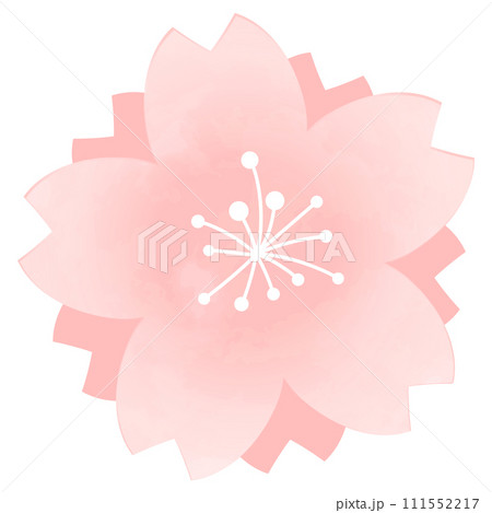 シンプルな桜の花のイラスト 111552217