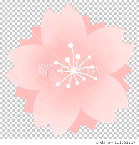 シンプルな桜の花のイラスト 111552217