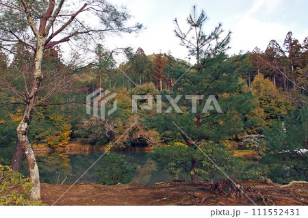 金閣寺　安民沢 111552431