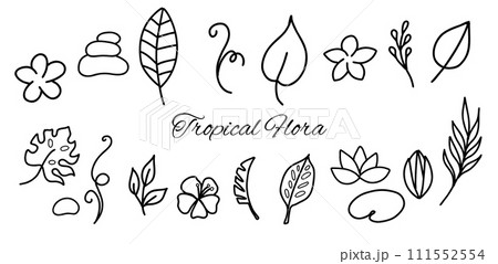 Simple hand drawn tropical floral vector design elements in doodle style. Set of leaves, flowers, branches and stones. For pattern, logo or decoration. Simple hand drawn tropical floral vector design elements in doodle style. Set of leaves, flowers, branches and stones. For pattern, logo or decoration. 111552554