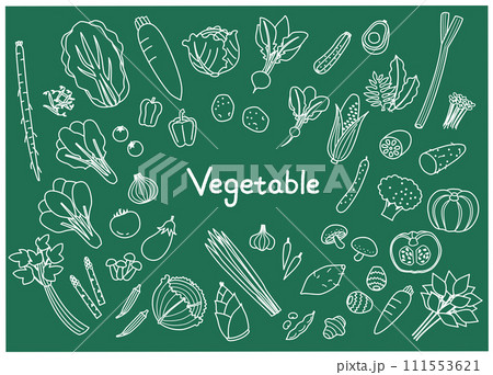 いろいろな野菜の線画イラストセット 111553621