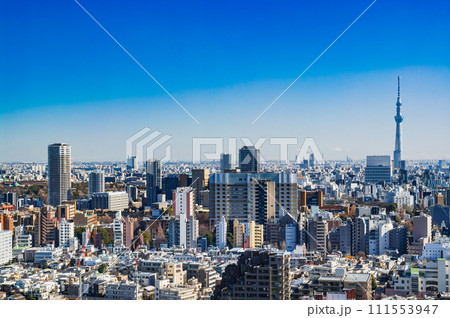 東京スカイツリーと文京区・台東区周辺の町並み 東京スカイツリーと文京区・台東区周辺の町並み 111553947