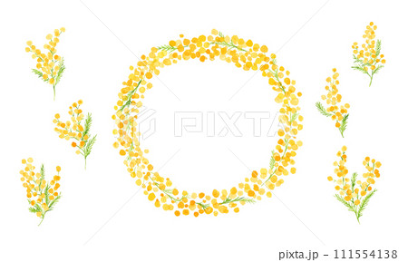 水彩画。水彩タッチのミモザベクターイラスト。ミモザの春イラスト。植物のシンプル背景セット。 111554138