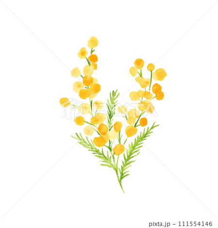 バ*ー様 手描きイラスト オリジナル【ミモザ】 ʚ ═══・୨ ꕤ ୧・═══ ɞ 『横顔』 密かにミモザ