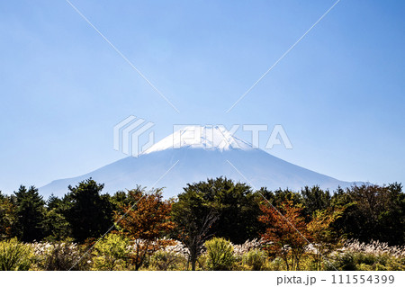 雲ひとつない青空と富士山 空広め 空に文字スペース 雲ひとつない青空と富士山 空広め 空に文字スペース 111554399