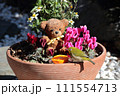 メジロとクマ_1 111554713