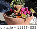 メジロとクマ_4 111554833