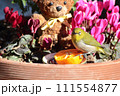 メジロとクマ_6 111554877