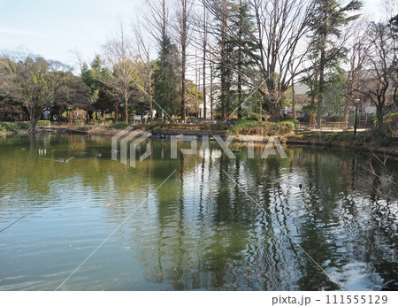 妙正寺公園 妙正寺公園 111555129