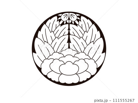 石持地貫杏葉牡丹 111555267