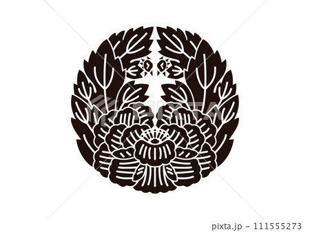 変わり杏葉牡丹 変わり杏葉牡丹 111555273