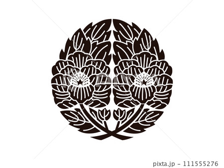 変わり枝違い牡丹 変わり枝違い牡丹 111555276