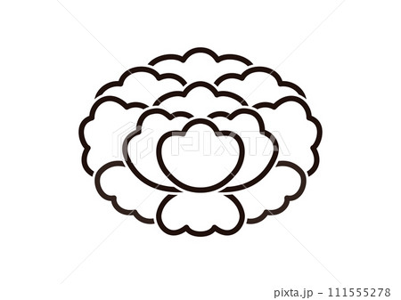 陰落牡丹 111555278