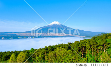 富士山（5月・忍野村より） 111555481