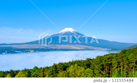 富士山（5月・忍野村より） 111555484