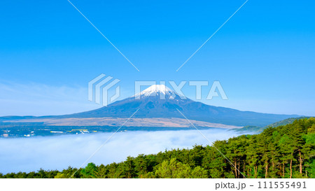 富士山（5月・忍野村より） 111555491