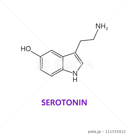 Neurotransmitter, Serotonin chemical formula and molecule, vector molecular structure. Serotonin, monoamine neurotransmitter in central nervous system and human body neuron receptors modulator 111555812