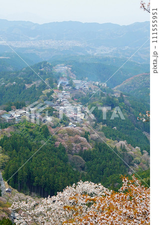 桜　吉野山　奈良県 111555951
