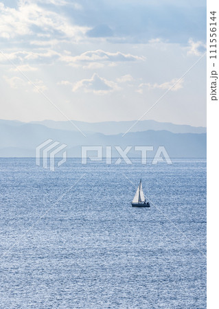 静かな相模湾の風景 111556144