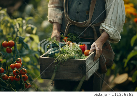 新鮮な野菜を収穫する女性 111556265