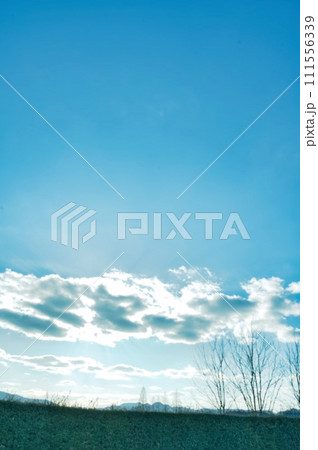 空と雲の下の樹々 空と雲の下の樹々 111556339