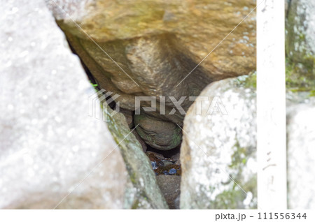 大和郡山城にある、さかさ地蔵 111556344