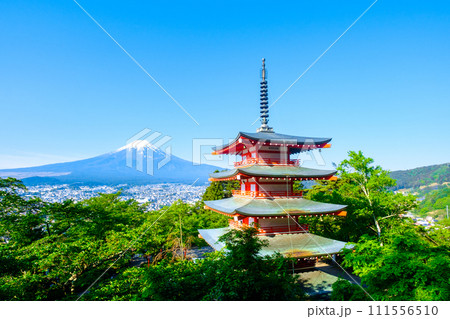 新緑と富士山（新倉山浅間公園） 111556510