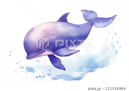 優しいタッチのイルカ 111556964