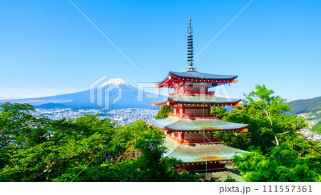 新緑と富士山(新倉山浅間公園) 新緑と富士山(新倉山浅間公園) 111557361