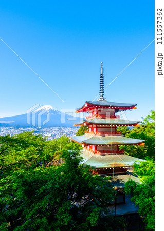 新緑と富士山(新倉山浅間公園) 新緑と富士山(新倉山浅間公園) 111557362