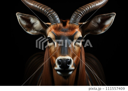 Big eastern bongo antelope. Generative AI 111557409